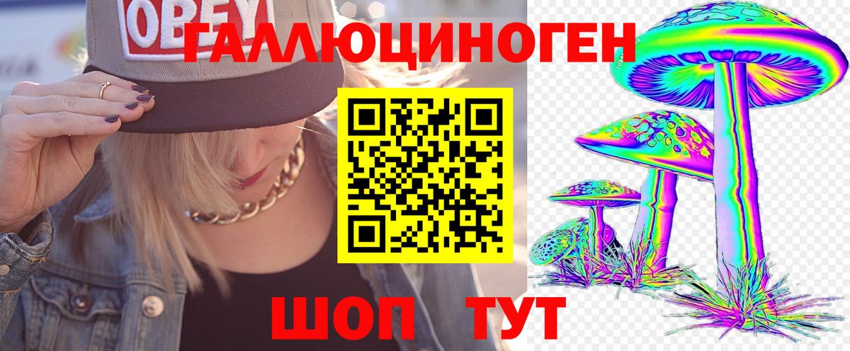 Сызрань  Галлюциногенные грибы Psilocybine cubensis  Вход с VPN 